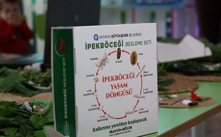 Büyükşehir çocukları ipekböceği ile tanıştırıyor