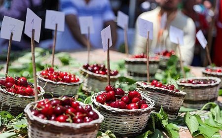 Başkan Görkem Duman’dan Kiraz Festivali’ne davet