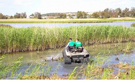 Aliağa Belediyesi’nden Haşerelere Karşı Yoğun Mücadele