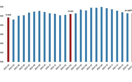 Ücretli Çalışan İstatistikleri, Mart 2025