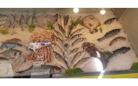 İzmir’de Su Ürünleri Denetimlerinde Ceza Yağdı: Yasa Dışı Avcılığa Geçit Yok