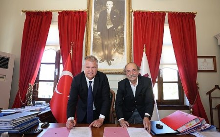 Balıklıova’da üreticinin yüzü “zeytinle” gülecek