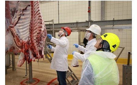 Kurban kesim başvuruları 15 Mayıs’ta başlıyor