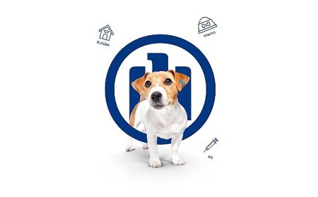 Allianz Türkiye HAYTAP’a desteğini büyütüyor