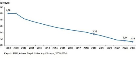 İstatistiklerle Aile, 2024