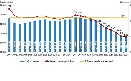 Doğum İstatistikleri, 2024