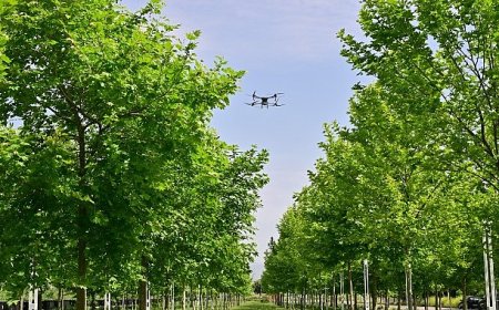 Büyükşehir, haşereyle mücadeleye aralıksız devam ediyor