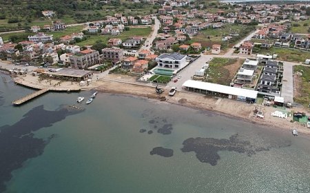 Ayvalık Belediye İşletmeleri Yaz Sezonuna Hazır, Çalışmalar Sezon Boyunca Aralıksız Sürdürülecek