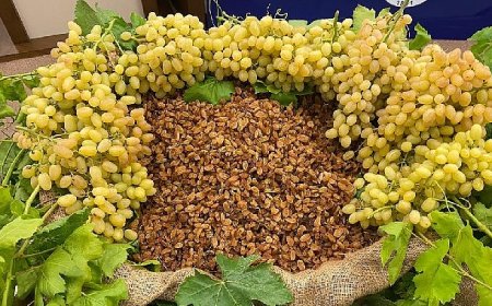 Çekirdeksiz kuru üzüm, kuru kayısı ve kuru incir ihracatında 1 milyar dolar aşıldı