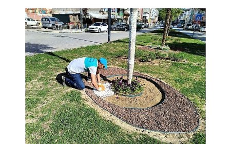 Yeşil Alanlara Estetik Dokunuş
