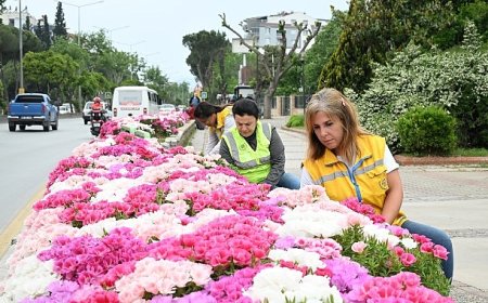 Başkan Çerçioğlu Efeler’i Bahar Çiçekleri ile Süsledi