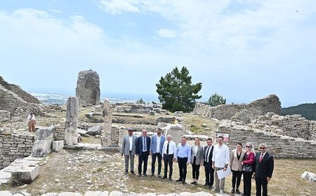 IV. Uluslararası FoodFest Gastronomi Festivali domates hasadı ile başladı