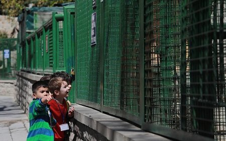 Minikler Can Dostlarla Tanıştı