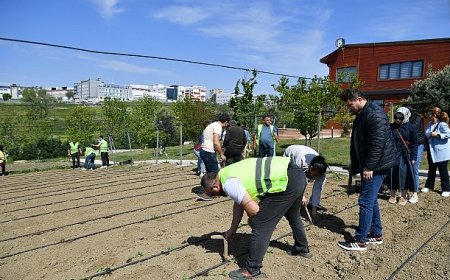 Yaşam Bahçesi yaza hazır