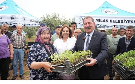 Milas Belediyesi, ata tohumlarını yaşatmak için üreticilere fide dağıtımı gerçekleştirdi