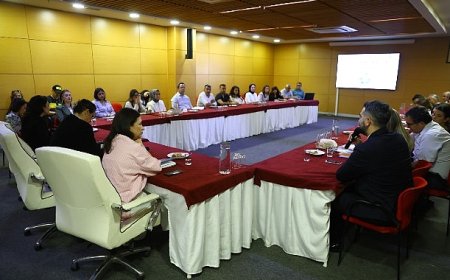 Evlerden çıkan atık ilaçlar düzenli toplanacak güvenle bertaraf edilecek