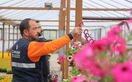 Çansera’nın Yazlık Çiçekleri Çankaya’yı Süsleyecek