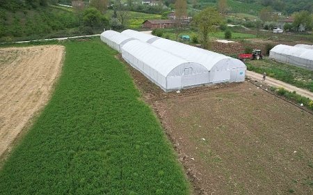 Kocaeli’nde tarım büyüyor, seracılık gelişiyor