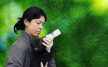 ‘Tampa’nın Sırları: Vahşi Taraf’, 5 Mayıs Pazartesi Günü 20.00’de National Geographic WILD Ekranlarında!