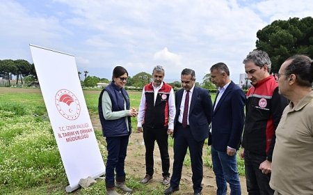 17 Bin Kuşkonmaz Fidesi Üreticilere Teslim Edildi