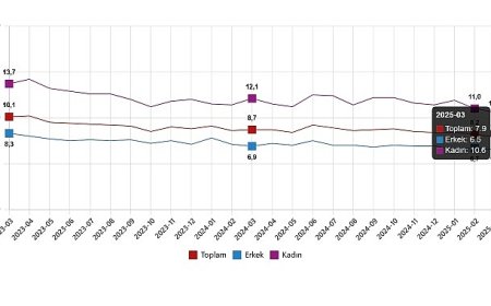 İşgücü İstatistikleri, Mart 2025