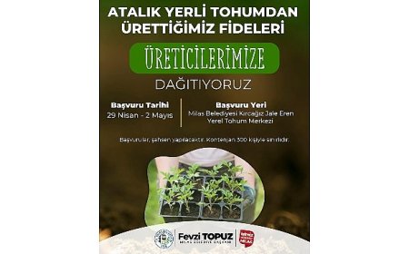 Milas Belediyesi Ata Tohumlarını Yaşatmak Amacıyla Sebze Fidesi Dağıtımı Gerçekleştirecek