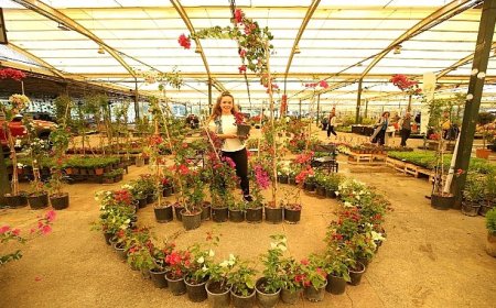 Yılın en renkli festivali 16 Mayıs’ta başlıyor!