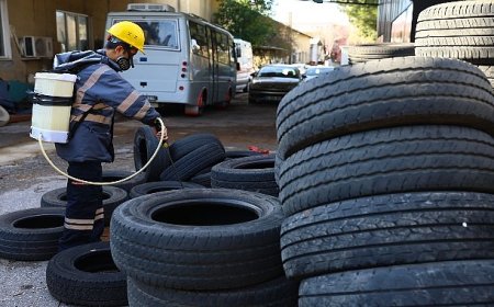 Havaların ısınmasıyla birlikte ilaçlama çalışmaları hız kazandı