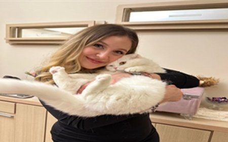 Dünya Veteriner Hekimler Günü’nde İzmirli veteriner hekimlerden çağrı