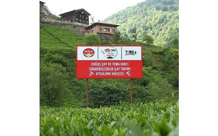 Doğuş Çay ve TEMA Vakfı’ndan sağlıklı topraklar ve sürdürülebilir çay tarımı için ortak adım