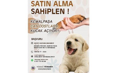 Türkmen: “Can dostlarımıza yuva olmak hepimizin sorumluluğu”