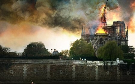 2 Bölümlük Seri   ‘Notre Dame: Küllerinden Doğan Tarih’ 
