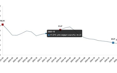 Yurt İçi Üretici Fiyat Endeksi, Mart 2025
