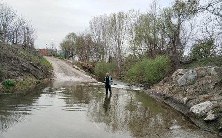 İzmit Körfezi’ne akan 12 dere yakından izleniyor