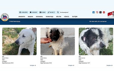 Sıcak Yuvalara Dijital Köprü: E-Pati Kemalpaşa