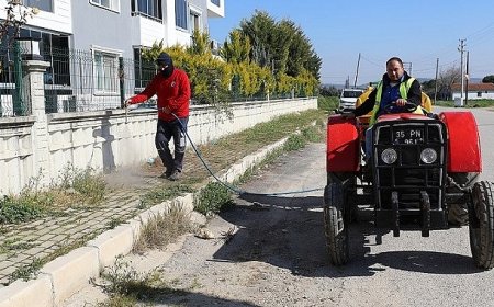 Yabancı Ot Mücadelesinde İlk Etap