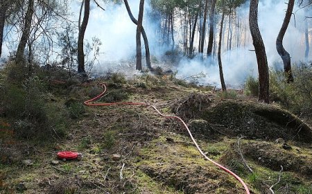 Kemer Belediyesi yangına karşı seferber oldu