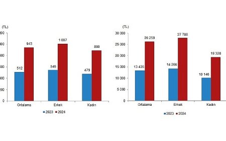 Tüik: Mevsimlik tarım işçilerinin ortalama günlük ücretleri 2024 yılında %84,2 arttı