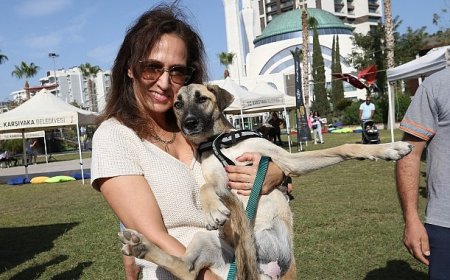 Karşıyaka Belediyesi’nden toplu kısırlaştırma hamlesi