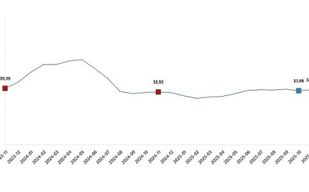 Tarımsal Girdi Fiyat Endeksi, Kasım 2025