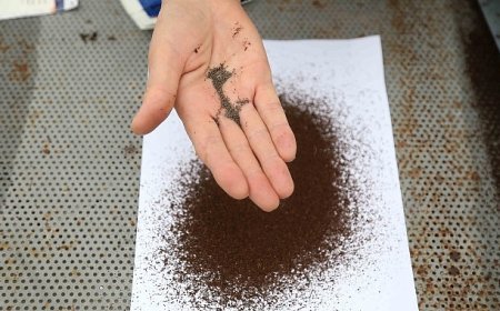 Çankaya Belediyesi’nden Su Kaynaklarına Duyarlı Üretim