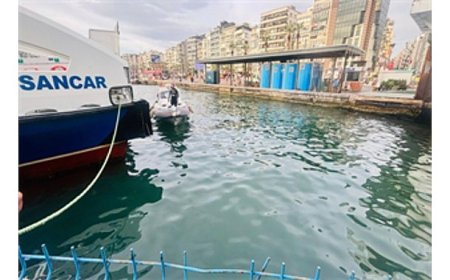 İzmir İtfaiyesi, iskele altında sıkışan kediyi kurtardı
