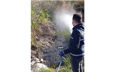 Didim’de Halk Sağlığı İçin Vektörlere Karşı Etkin Mücadele