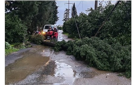 Menderes Belediyesi Yoğun Yağışlarda Sahada