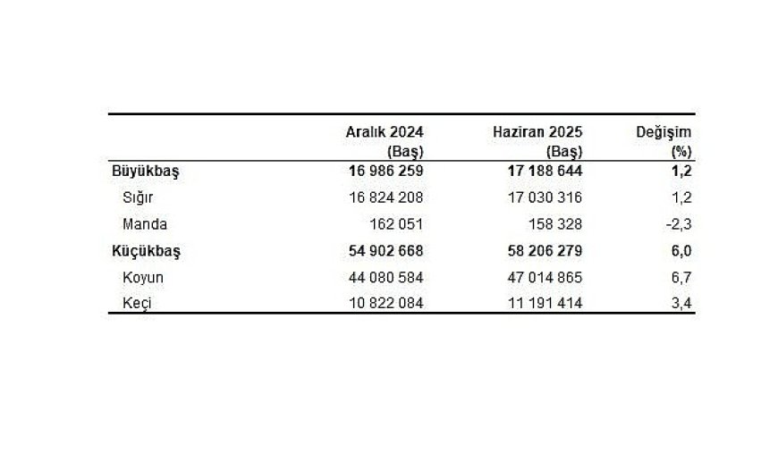 Hayvancılık İstatistikleri, Haziran 2025