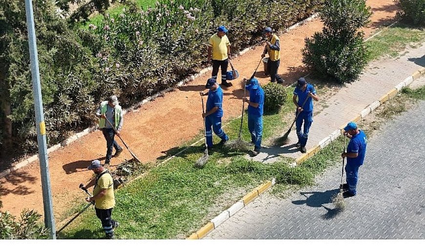 Başkan Çerçioğlu’ndan Nazilli’ye yeşil dokunuş