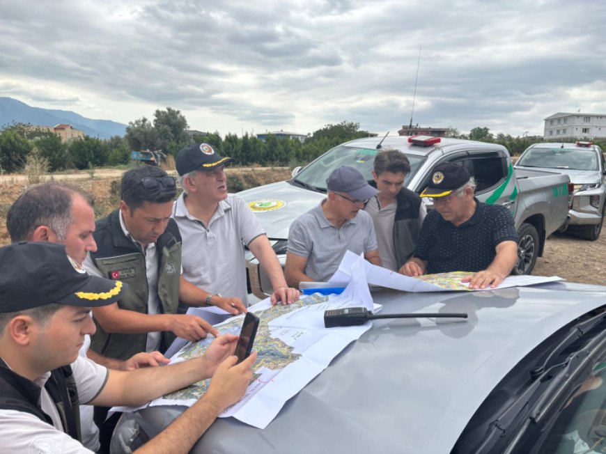 Bursa’da yangınzede ormanlar yeniden yeşertiliyor