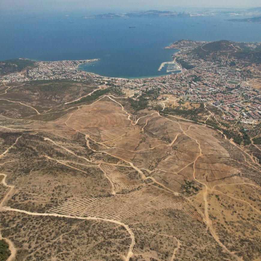 İzmir Foça yeniden yeşermeye hazırlanıyor