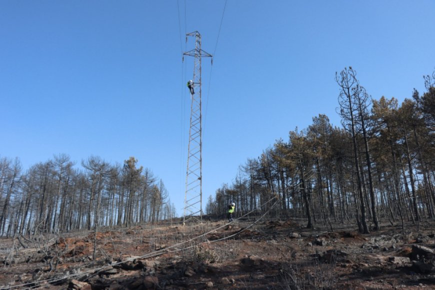 Bursa’daki yangın bölgesinde enerji hatları onarılıyor