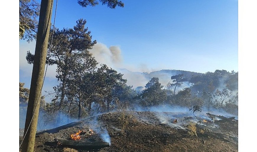 Büyükşehir ekiplerinden Akhisar’daki yangına müdahale